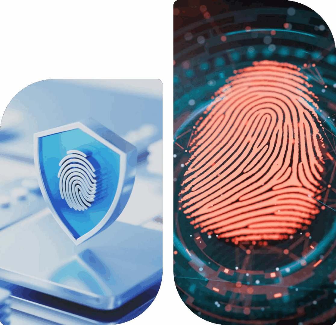 Biometric authentication concept art