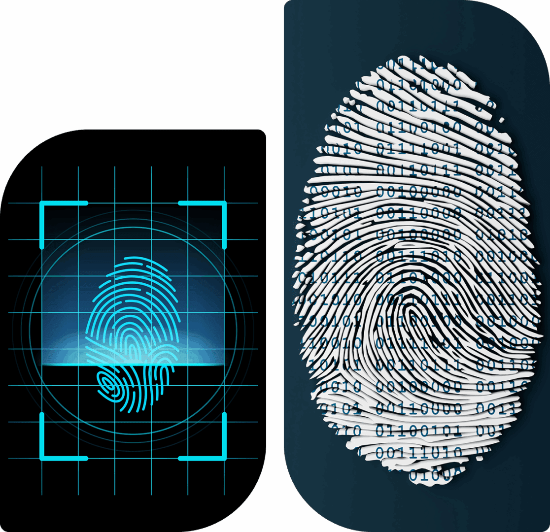 Biometric fingerprint identification technology